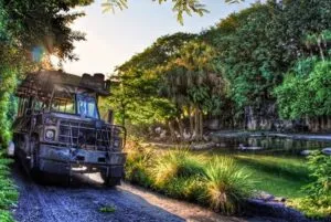 Themed Entertainment Design | Animal Kingdom
