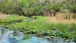 Seminole County Trails | Perry Becker Design