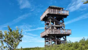Seminole County Trails | Perry Becker Design