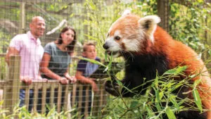 Trevor Zoo | Perry Becker Design