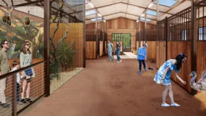 Trevor Zoo | Perry Becker Design