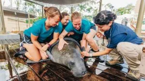 Zoo Tampa | Cultural Attraction Design | Perry Becker Design