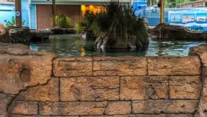 Zoo Tampa | Cultural Attraction Design | Perry Becker Design