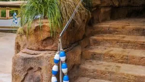 Zoo Tampa | Cultural Attraction Design | Perry Becker Design