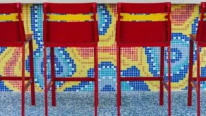 Zoo Tampa | Cultural Attraction Design | Perry Becker Design