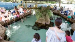 Cultural Attraction - ZooTampa Campus Planning