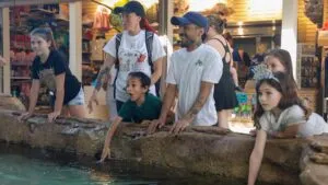 Cultural Attraction - ZooTampa Campus Planning