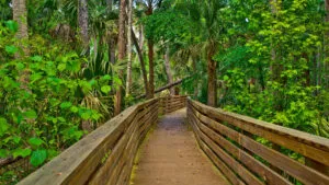 Seminole County Trails | Perry Becker Design