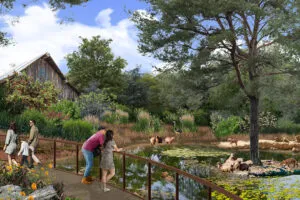 Trevor Zoo | Perry Becker Design