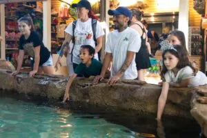 Zoo Tampa | Cultural Attraction Design | Perry Becker Design